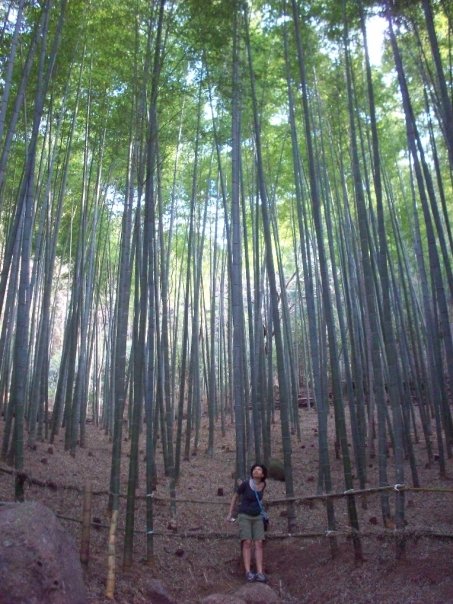 Me in Bamboo